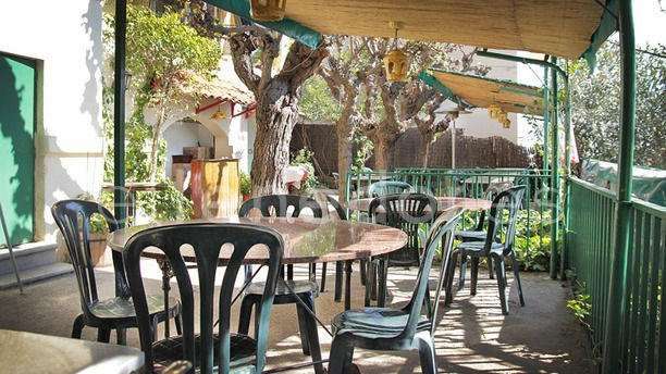 el-jardi-de-l-apat-terraza-al-sol-60786